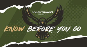 Image post by @rocknighthawks on Instagram