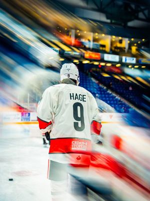 Image post by @ohlicedogs on Instagram