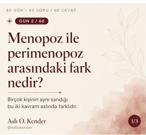 Image post by @asliokender on Instagram