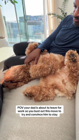 Video post by @tedflixnchill on TikTok