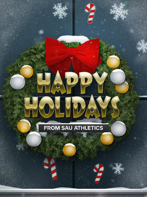 Image post by @saubees on Instagram