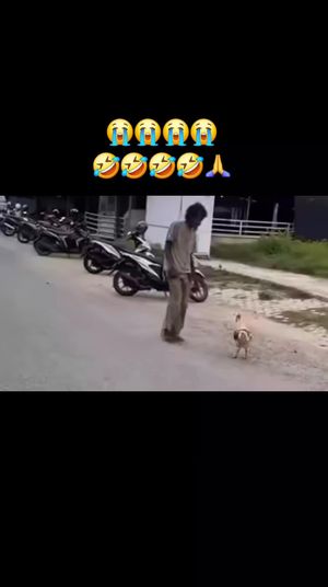 Video post by @da7april on TikTok