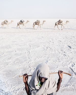 Image post by @natgeo on Instagram