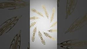 Video post by @aveda on YouTube