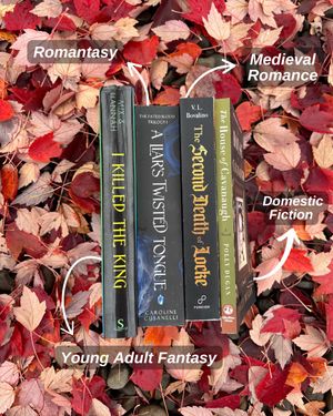 Image post by @booksparks on Instagram