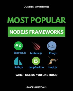 Image post by @codingambitions on Instagram