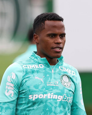 Image post by @palmeiras on Instagram