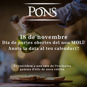 Image post by @pons.oficial on Instagram