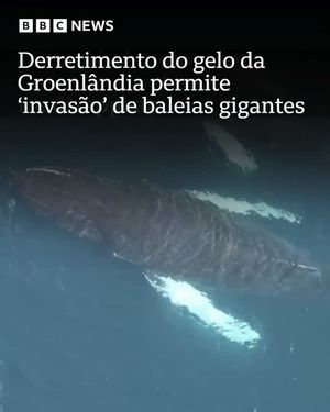 Image post by @bbcbrasil on Instagram