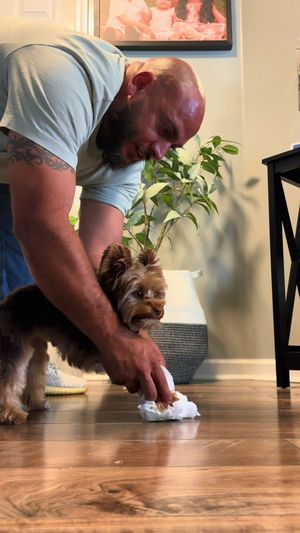 Video post by @thepuigfamily on TikTok