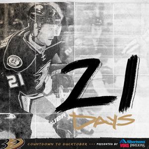 Image post by @anaheimducks on Instagram