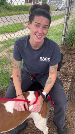 Video post by @DetroitGSD on Facebook
