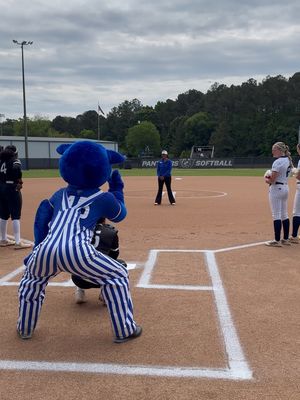 Image post by @gsu_softball on Instagram