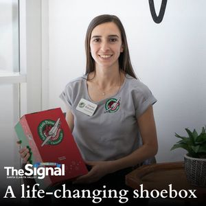 Image post by @signalscv on Instagram
