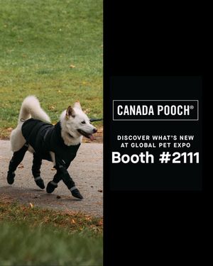 Image post by @canadapooch on Instagram