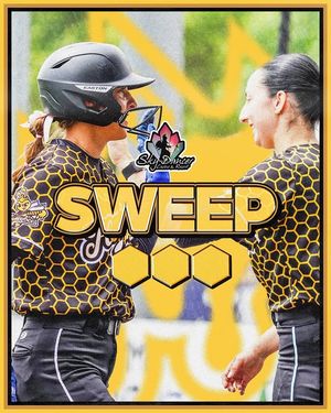 Image post by @honeybeessoftball on Instagram