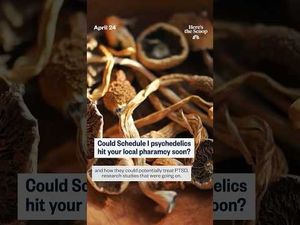 Video post by @heresthescoop on YouTube