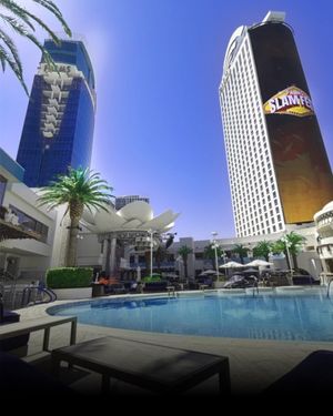 Image post by @palms on Instagram