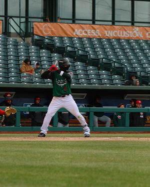 Image post by @greatlakesloons on Instagram