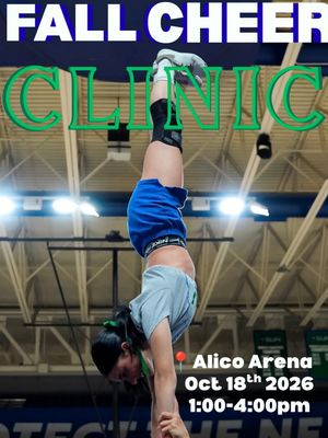 Image post by @fgcu_cheer on Instagram