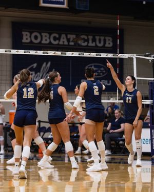Image post by @msubobcatsvb on Instagram