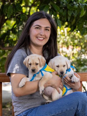 Image post by @canineorg on Instagram