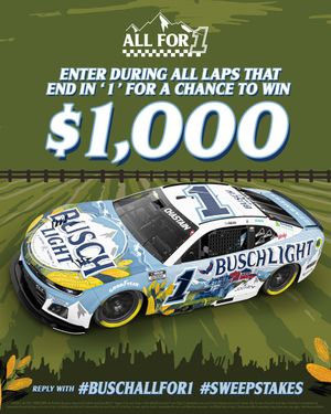 Image post by @BuschBeer on Twitter