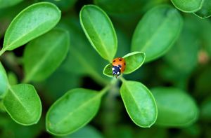 Image post by @txextension on Instagram