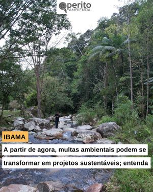 Image post by @operitoambiental on Instagram