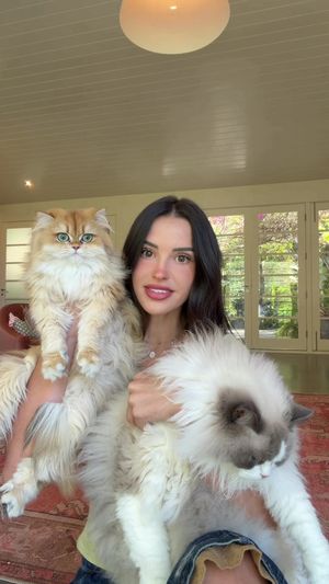 Video post by @lyssielooloo on TikTok