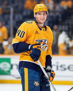 Image post by @predsnhl on Instagram