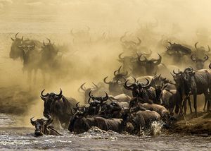 Image post by @natgeo on Instagram