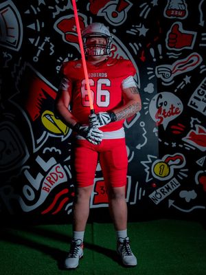 Image post by @isuredbirdfb on Instagram