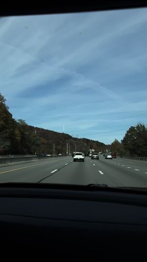 Video post by @bklynbridge on TikTok