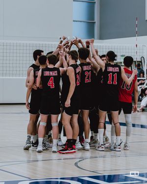 Image post by @lbccmvb on Instagram