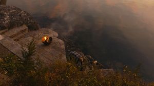 Image post by @joey_driftwood on Instagram