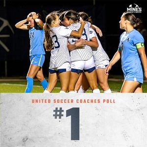 Image post by @mineswsoc on Twitter