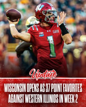 Image post by @rollbadgers on Instagram