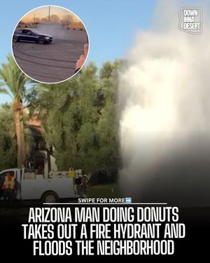 Image post by @downinnadesert on Instagram