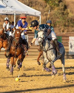 Image post by @uspoloassociation on Instagram