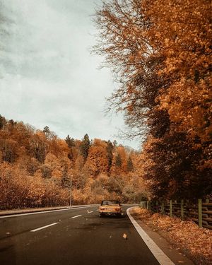 Image post by @kate.simple.life on Instagram