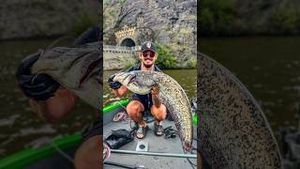 Video post by @jonasederfishing on YouTube