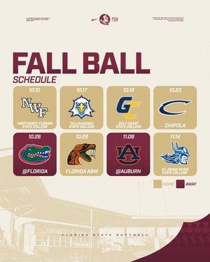 Image post by @fsusoftball on Instagram