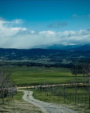 Image post by @fortheloveofjindabyne on Instagram