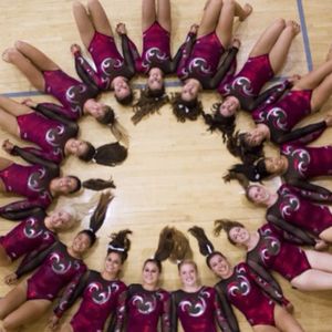 Image post by @stanfordgymnastics on Instagram