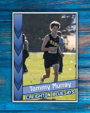 Image post by @bluejayxc on Instagram