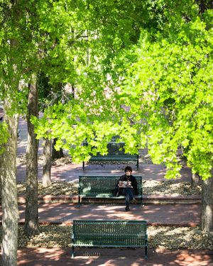 Image post by @unt on Instagram