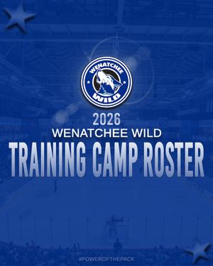 Image post by @whlwild_ on Instagram