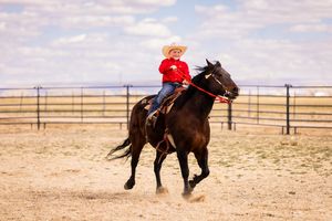 Image post by @cinchjeans on Instagram