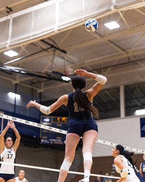Image post by @msubobcatsvb on Instagram